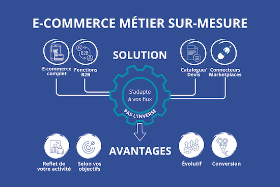 Infographie solutions e-commerce : site complet, B2B, catalogue et connecteurs s'adaptant à vos flux métiers